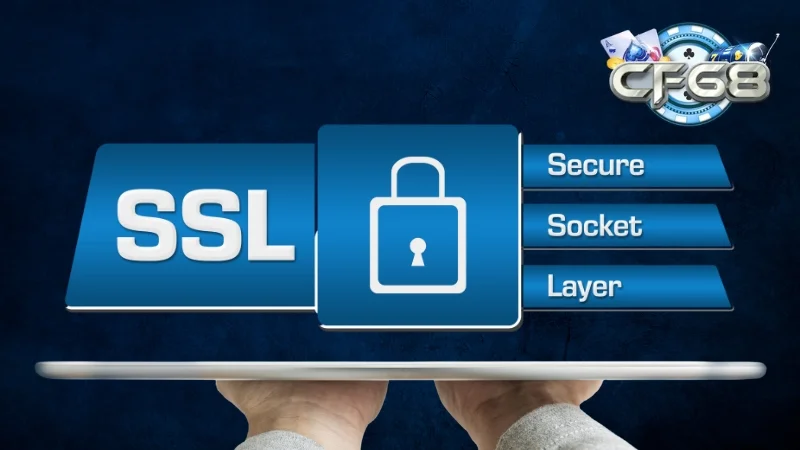 Hiện nền tảng áp dụng đa phương thức bảo mật SSL 256-bit hiện đại