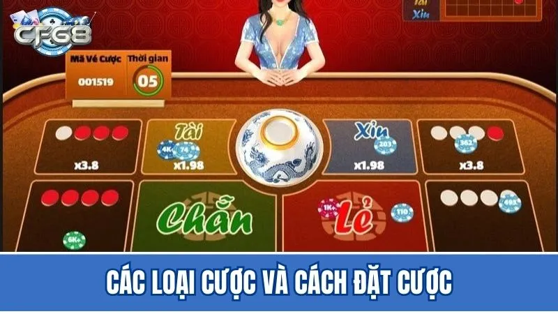 Các loại đặt cược phổ biến của trò chơi xóc đĩa tại CF68
