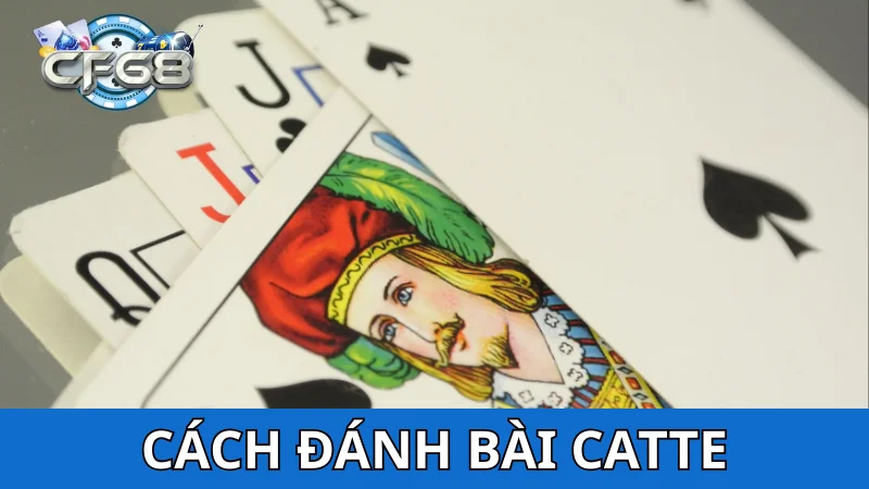 Cách đánh bài Catte hướng dẫn theo vòng