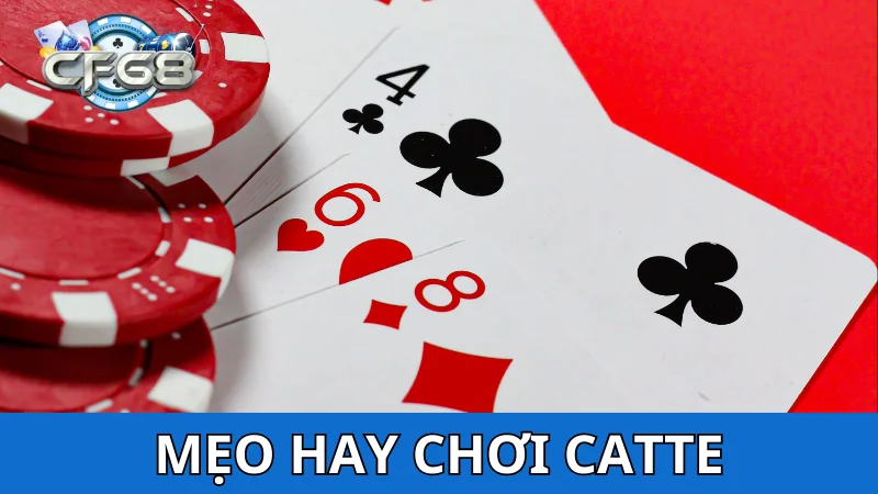 Mẹo hay trong cách đánh bài Catte
