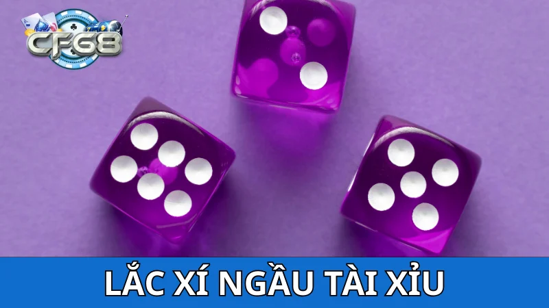 Vai trò cách lắc xí ngầu trong Tài Xỉu